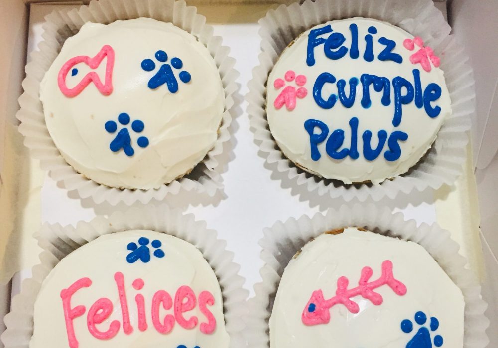 kittycakes kittycakes