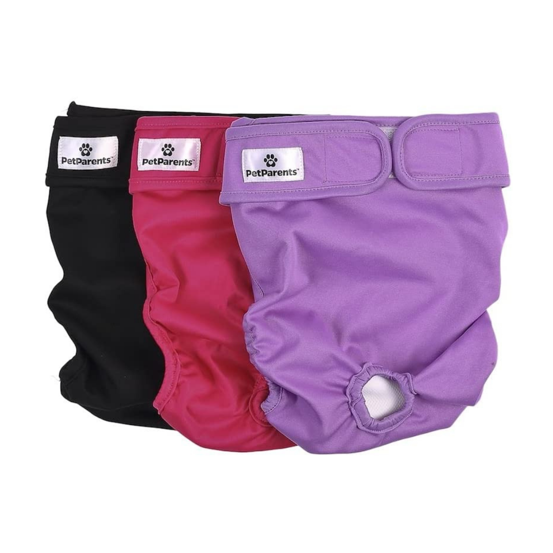 panales nuevos