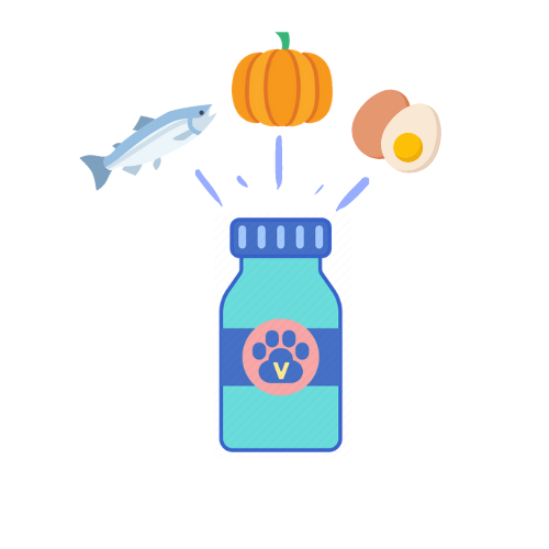 SUPPLEMENTS
