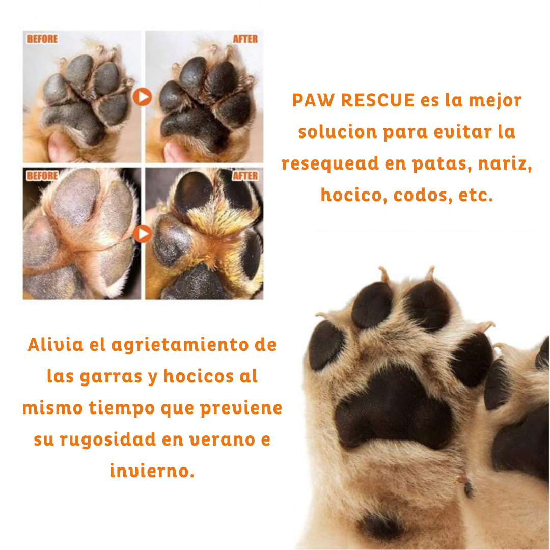 paw rescue 2