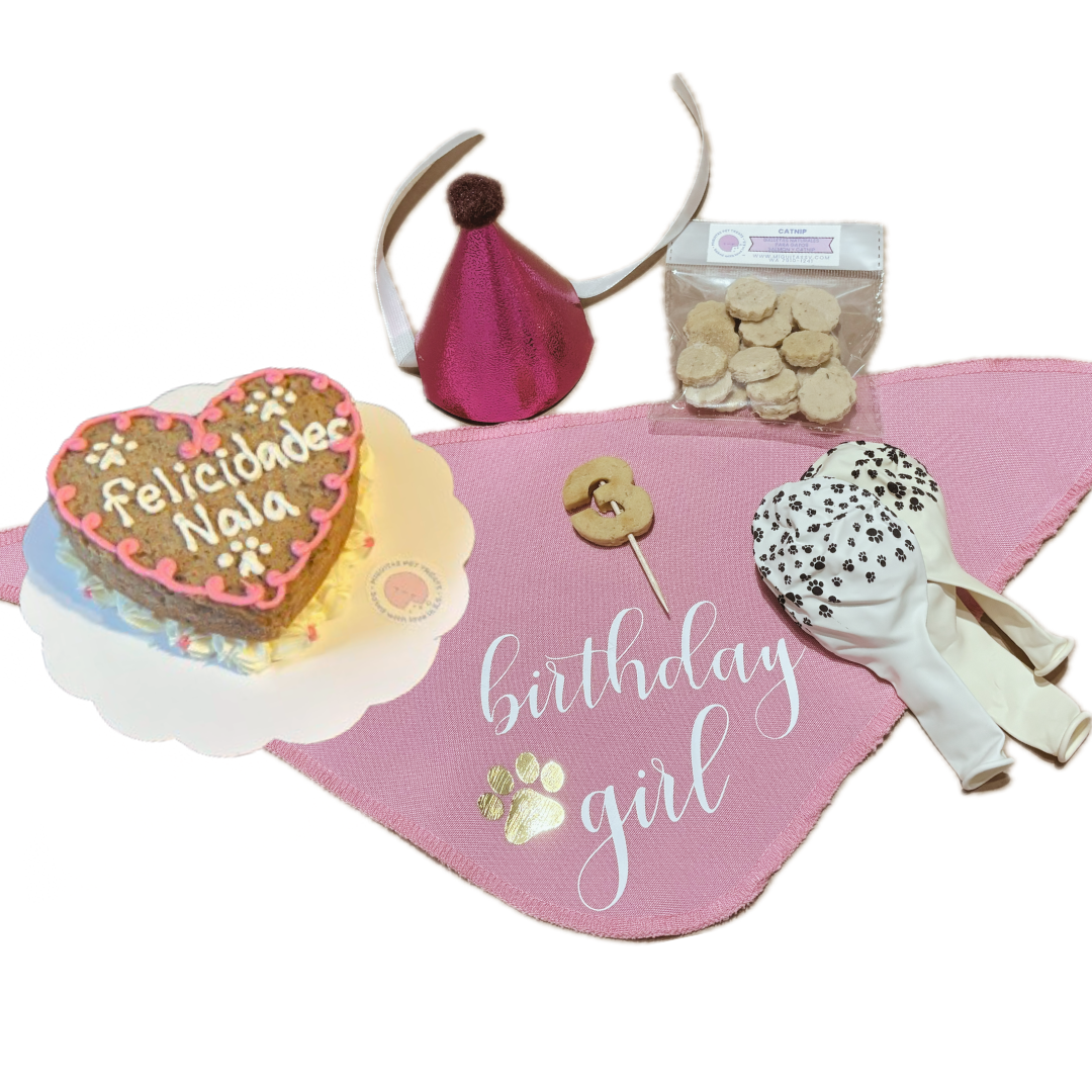 pawty pack corazon gatito