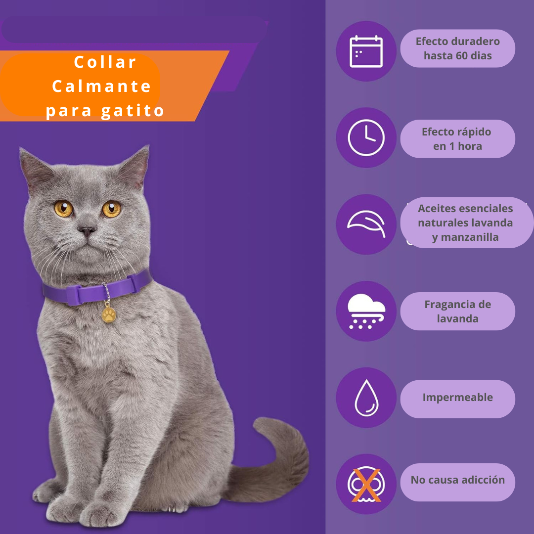 collar calmante gato 2