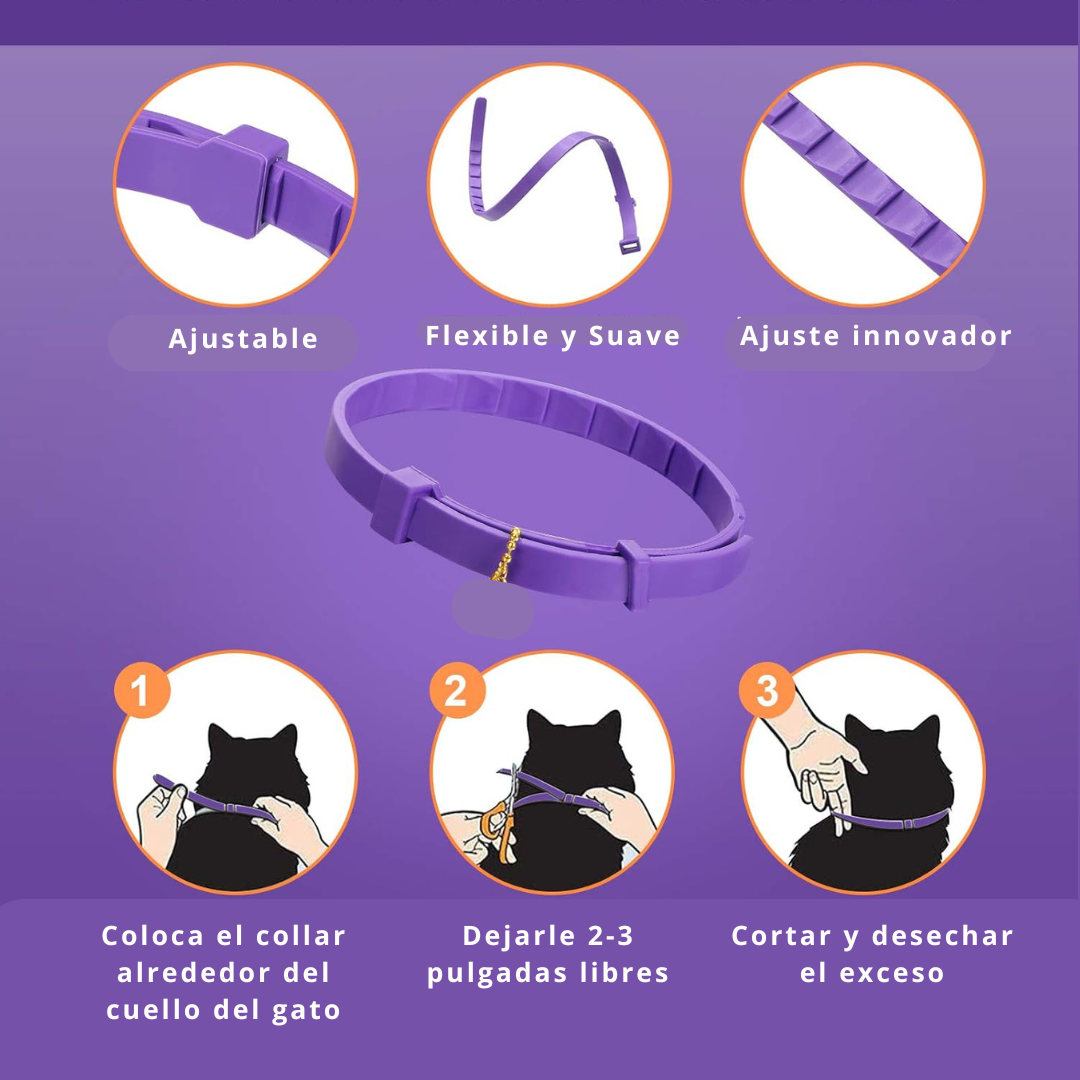 collar calmante gato 3