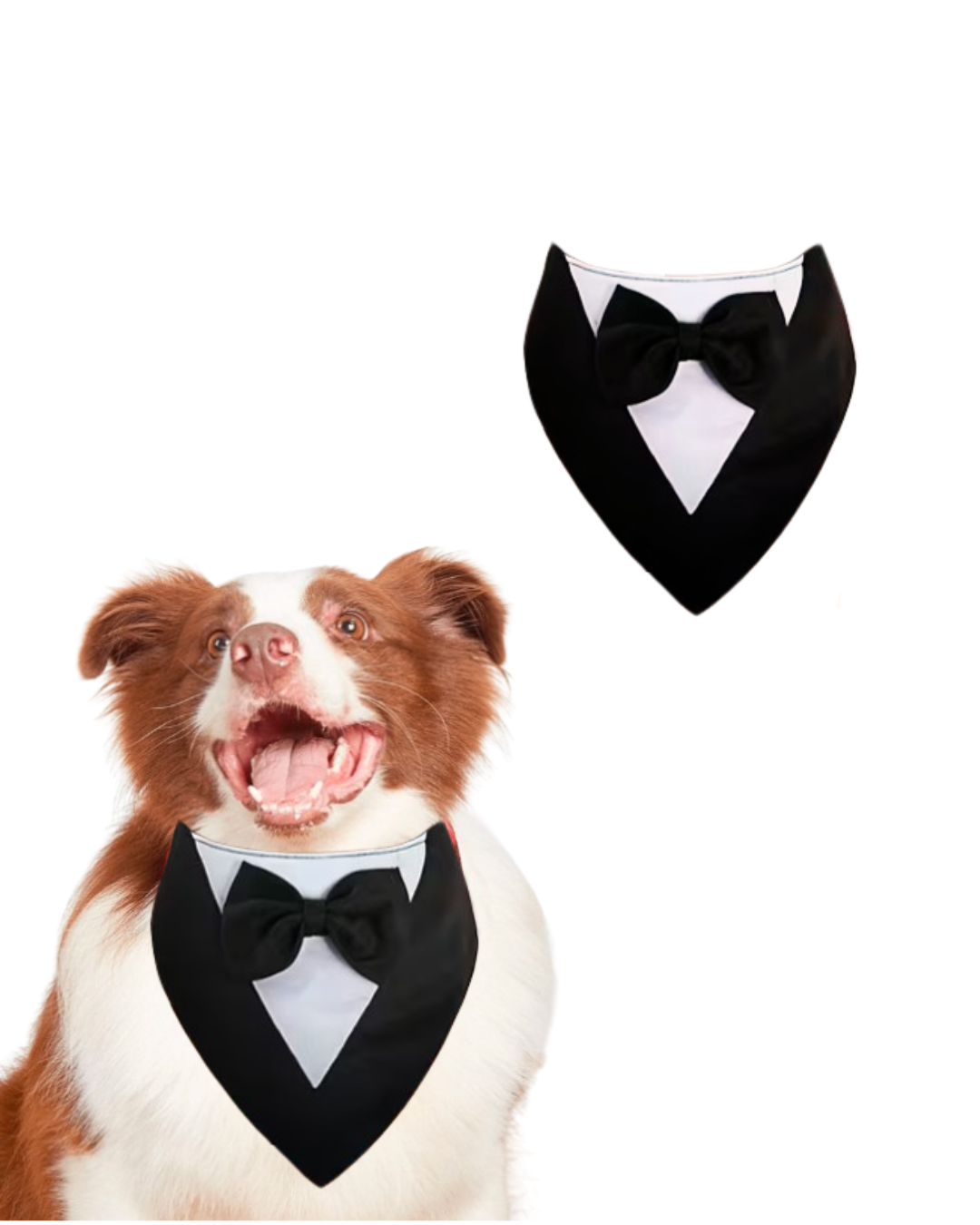 tuxedo 25 c